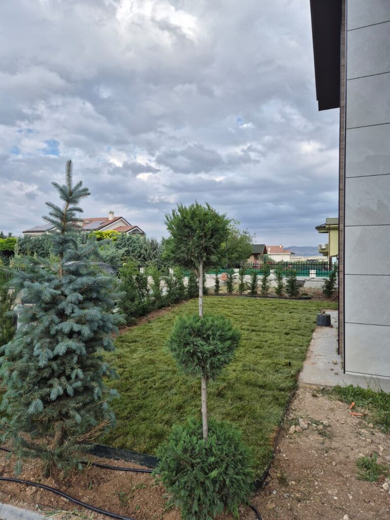 Ankara Peyzaj, Çim ve Ağaç Montaj Hizmetleri: Estetik ve Sağlıklı Yeşil Alanlar İçin Profesyonel Çözümler
