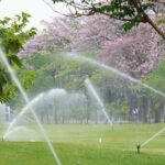 Ankara RainBird Fıskiye: Profesyonel ve Verimli Sulama Çözümleri