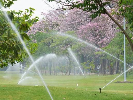 Ankara RainBird Fıskiye: Profesyonel ve Verimli Sulama Çözümleri